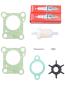 Preview: Honda Marine Service Kit BF9.9 A+B / BF15 A+B