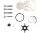 Preview: Yamaha Wasserpumpenkit 63V-W0078-04