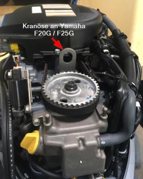 Yamaha F25 GEL Kranoese
