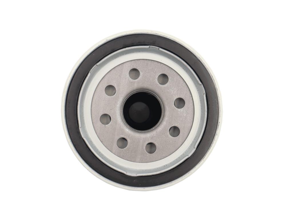 Ersatzfilter für Kraftstoff Filter Wasserabscheider bei Bootsmotoren - C14865 Easterner