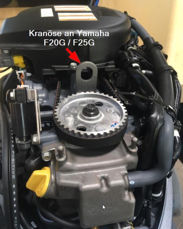Kranöse an Yamaha F20G und F25GWHL