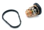 Honda Thermostat Außenborder BF 60 PS Set