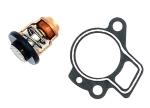 Yamaha Thermostat Set für F40 F50 F60 F70 Außenborder